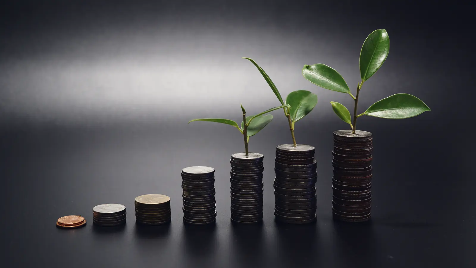 Stacks of coins rise in steps, each topped with a young plant